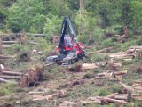 2022-05-20 - Tornado beim Sturmtief Emmelinde Solling - Steinlade bis Gehren (57)